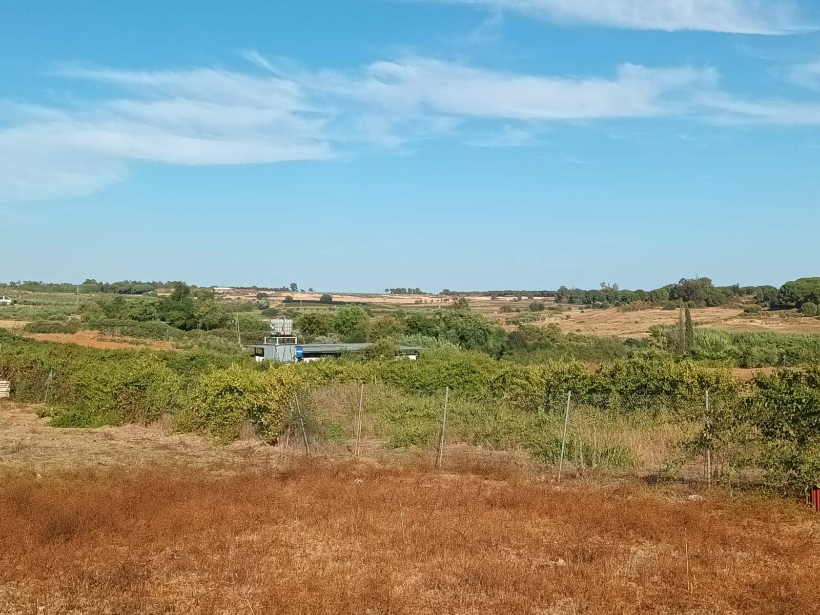 3 quarto Quinta/Casa Rural para venda em Rociana del Condado com garagem - 39 000 € (Ref: 10051953)