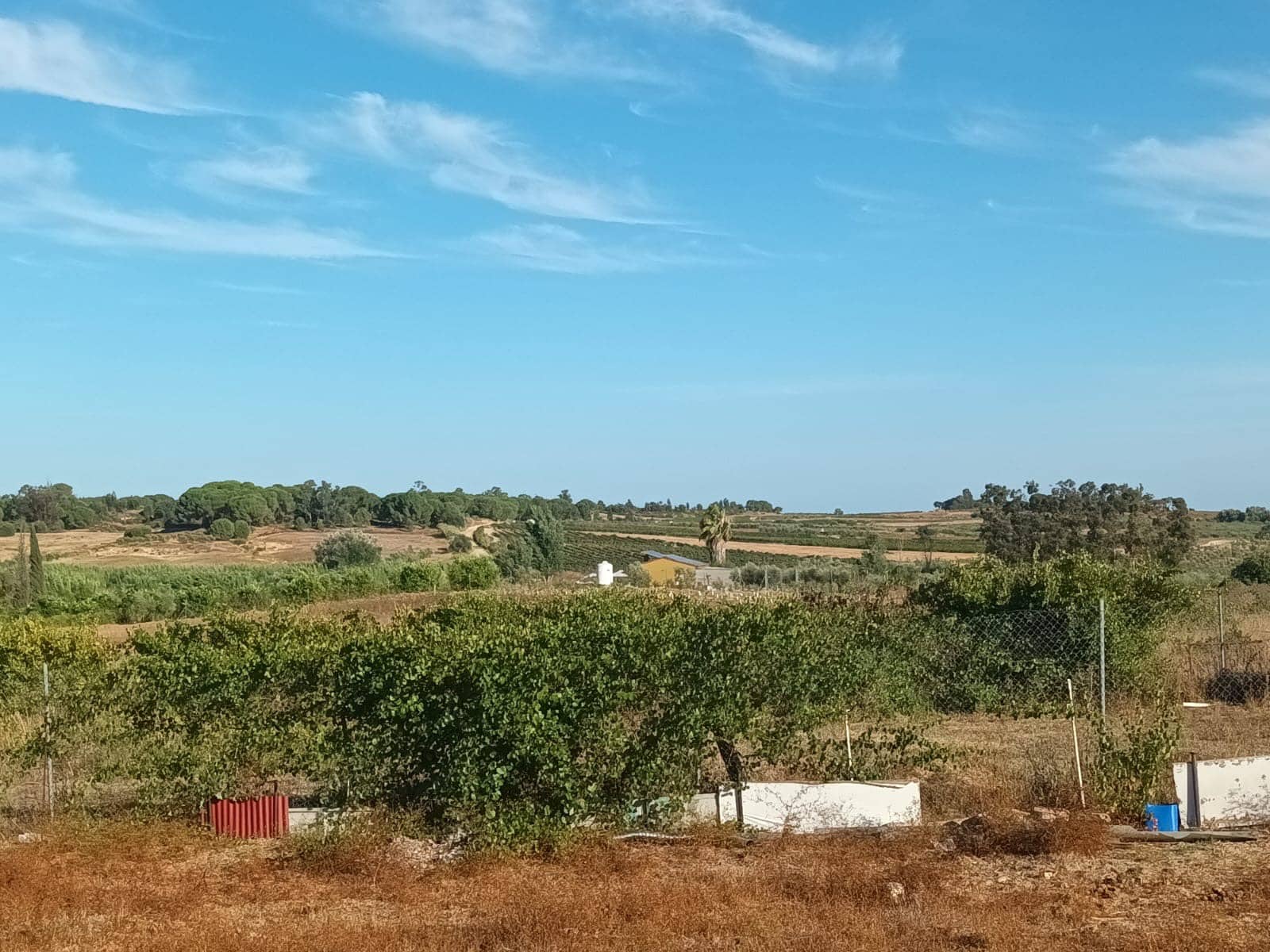 3 quarto Quinta/Casa Rural para venda em Rociana del Condado com garagem - 39 000 € (Ref: 10051953)