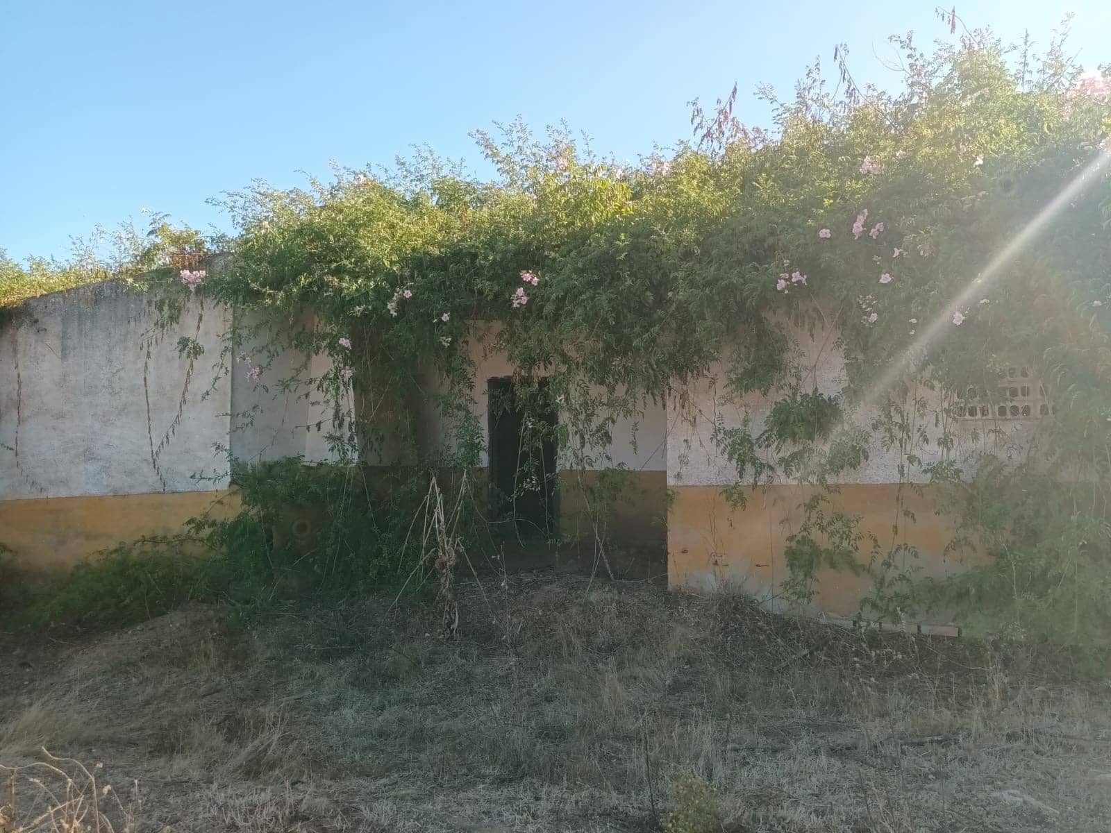Finka/Dom wiejski na sprzedaż w Bollullos Par del Condado - 110 000 € (Ref: 10081692)