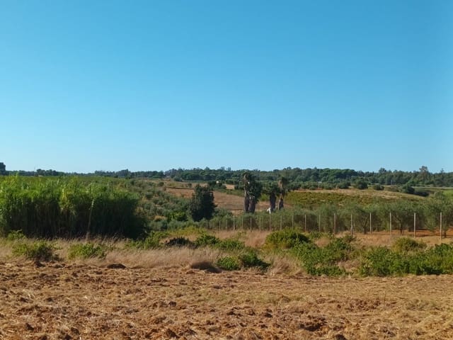 Finca/Landgut zu verkaufen in Bollullos Par del Condado - 110.000 € (Ref: 10081692)