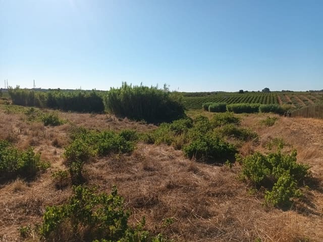 Finca/Landgut zu verkaufen in Bollullos Par del Condado - 110.000 € (Ref: 10081692)