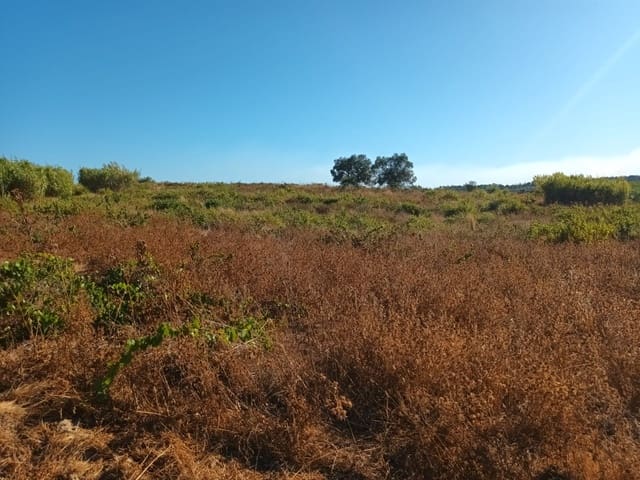Finca/Landgut zu verkaufen in Bollullos Par del Condado - 110.000 € (Ref: 10081692)