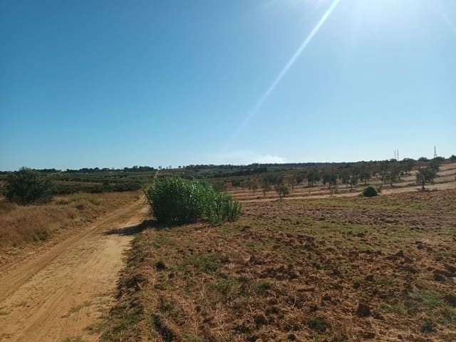 Finca/Landgut zu verkaufen in Bollullos Par del Condado - 110.000 € (Ref: 10081692)