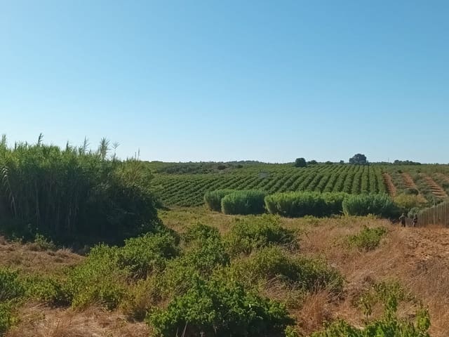 Finca/Landgut zu verkaufen in Bollullos Par del Condado - 110.000 € (Ref: 10081692)