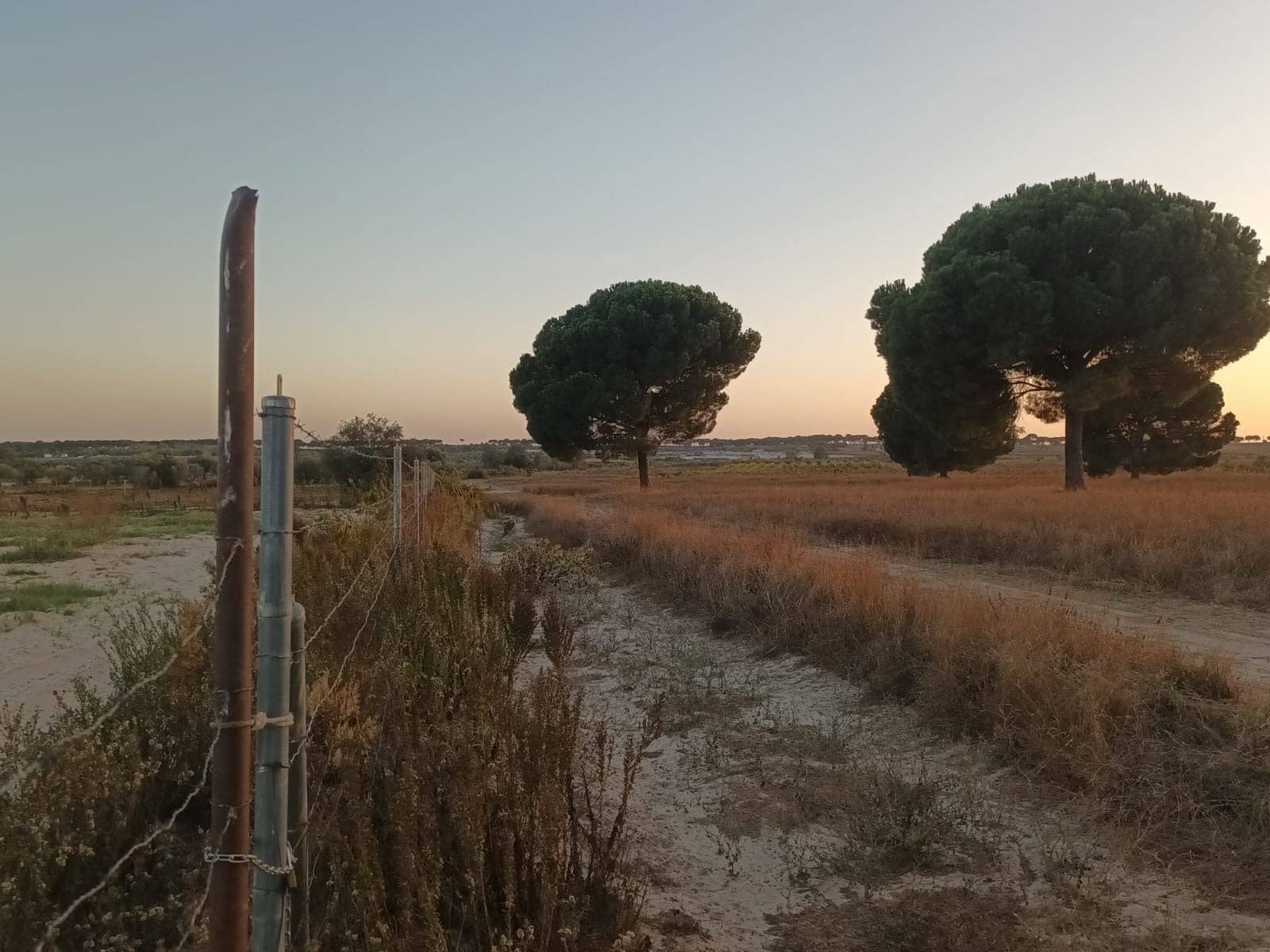 Finca/Landehus til salg i Almonte med garage - € 19.000 (Ref: 10165782)