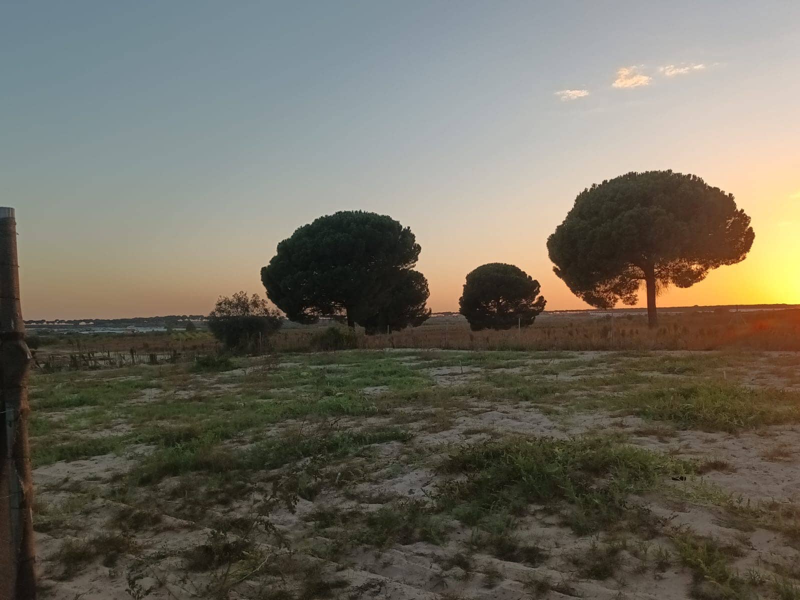 Finca/Landehus til salg i Almonte med garage - € 19.000 (Ref: 10165782)