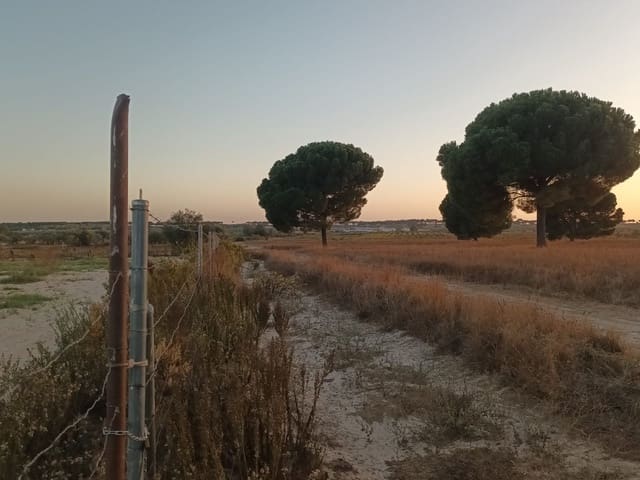 Finca/Landehus til salg i Almonte med garage - € 19.000 (Ref: 10165782)