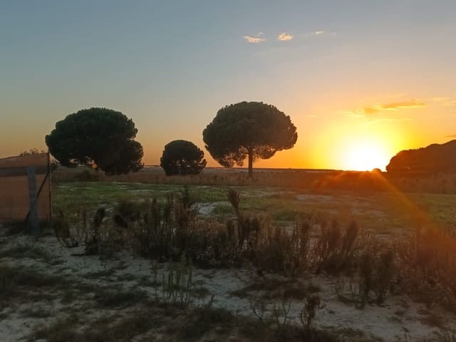 Finca/Landehus til salg i Almonte med garage - € 19.000 (Ref: 10165782)