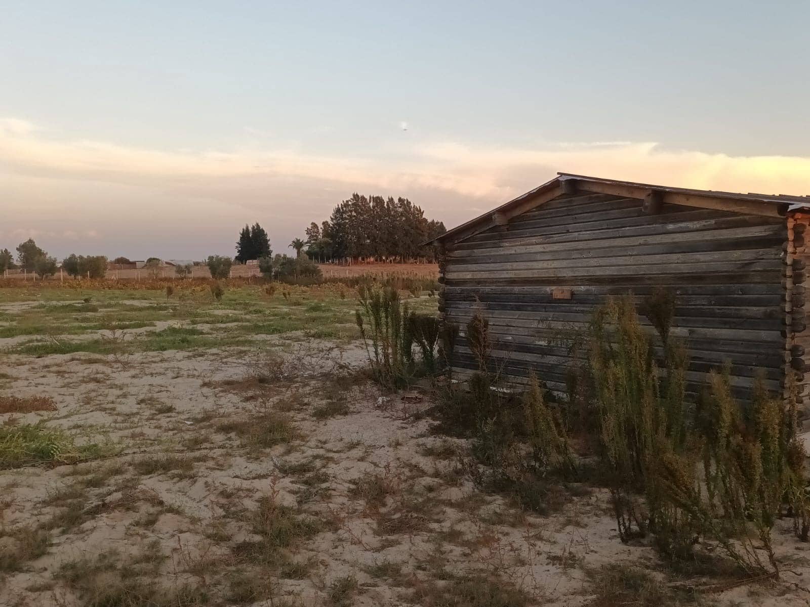 Finca/Landehus til salg i Almonte med garage - € 19.000 (Ref: 10165782)