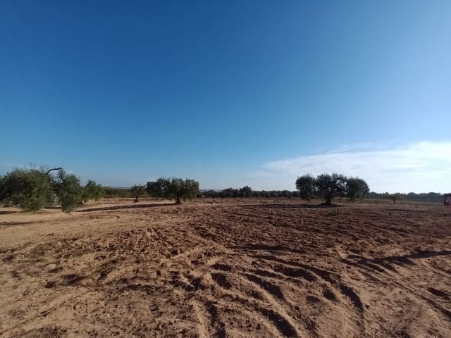 Grunde uden byggetilladelser til salg i Almonte - € 26.000 (Ref: 10165871)