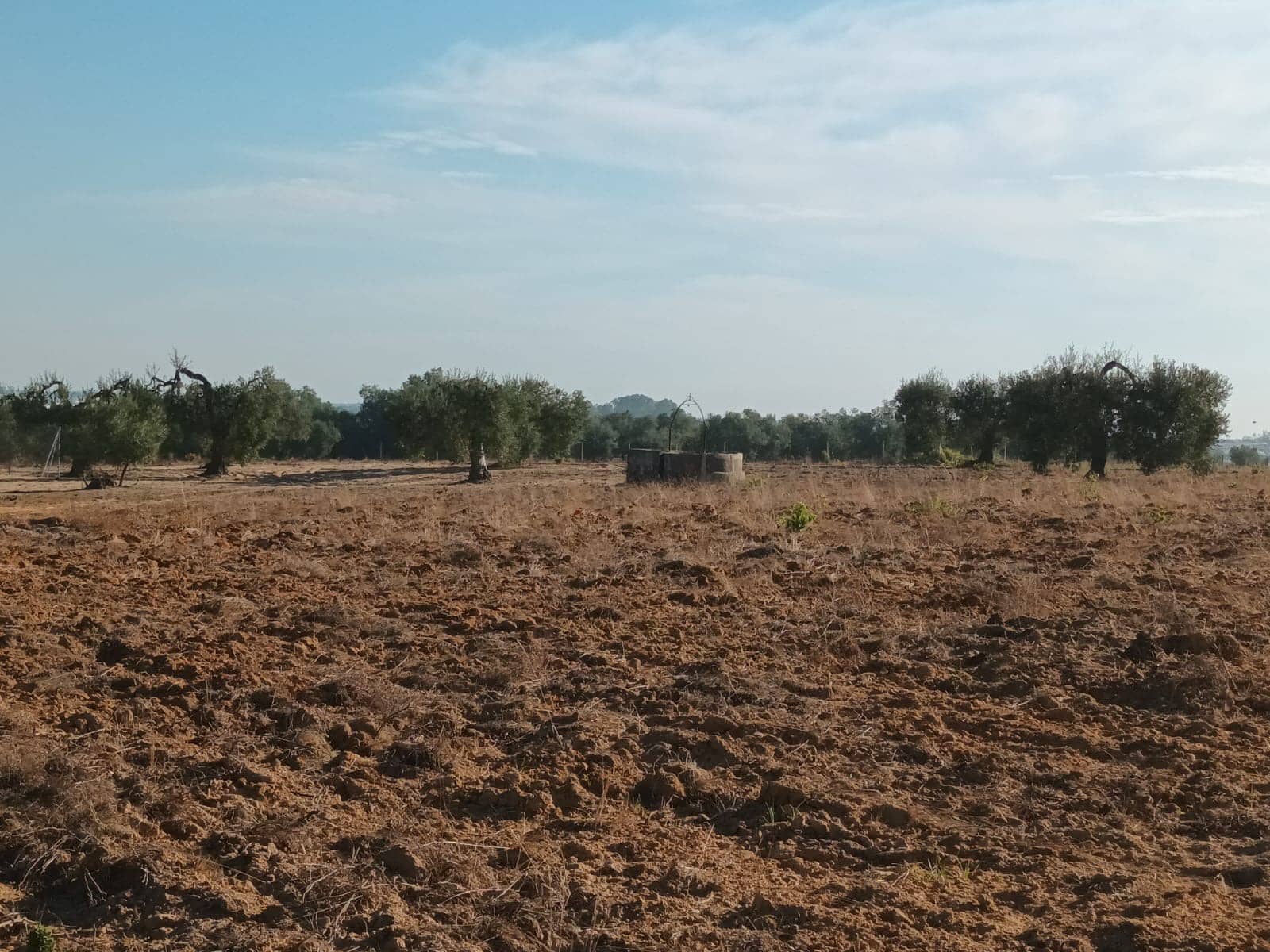 Grunde uden byggetilladelser til salg i Almonte - € 26.000 (Ref: 10165871)