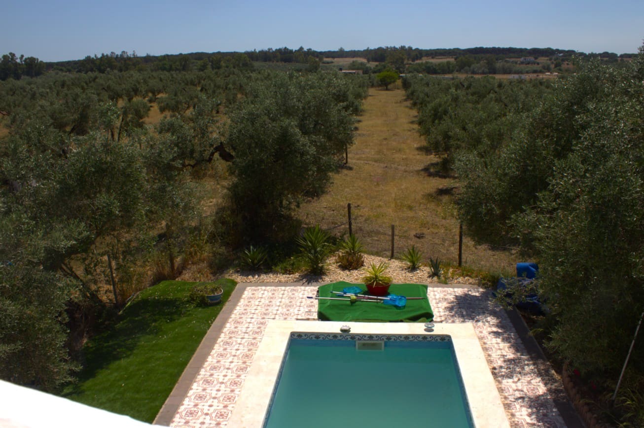 Pensión/Hostal de 4 habitaciones en Almonte en venta con piscina garaje - 398.000 € (Ref: 9829585)