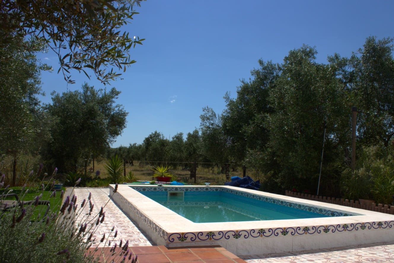 Pensión/Hostal de 4 habitaciones en Almonte en venta con piscina garaje - 398.000 € (Ref: 9829585)