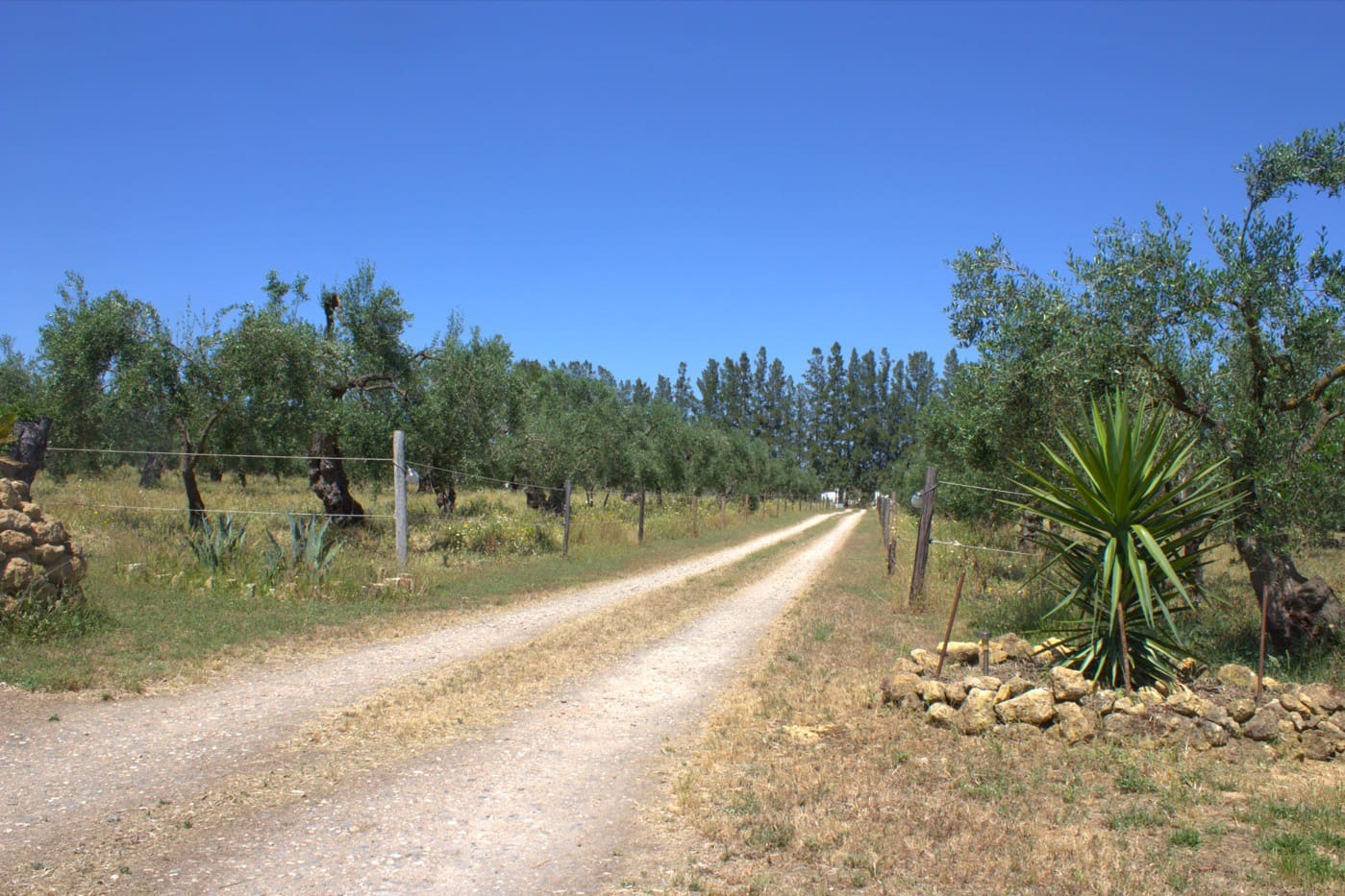 Pensión/Hostal de 4 habitaciones en Almonte en venta con piscina garaje - 398.000 € (Ref: 9829585)