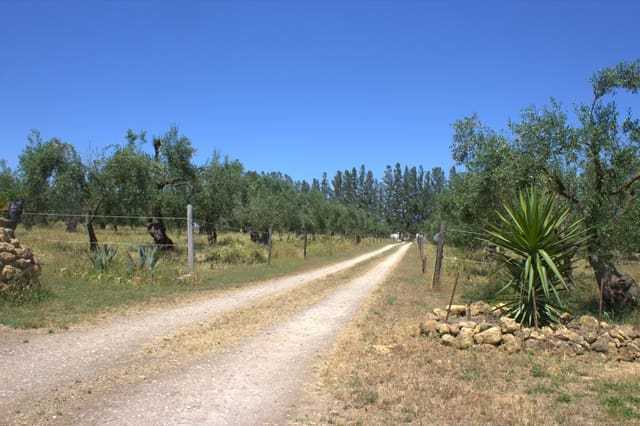 Pensión/Hostal de 4 habitaciones en Almonte en venta con piscina garaje - 398.000 € (Ref: 9829585)