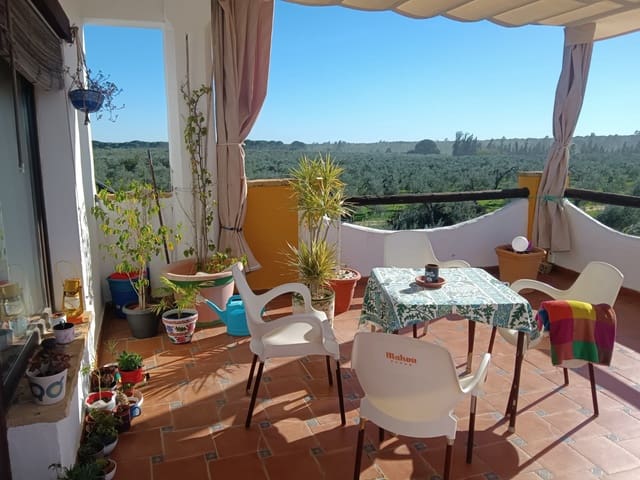 Pensión/Hostal de 4 habitaciones en Almonte en venta con piscina garaje - 398.000 € (Ref: 9829585)