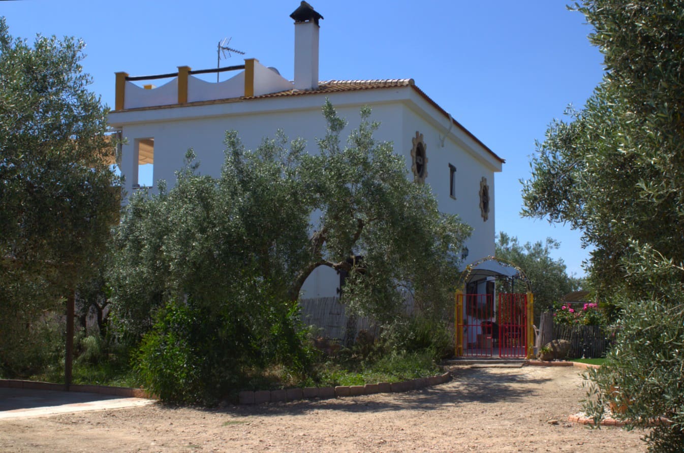 Pensión/Hostal de 4 habitaciones en Almonte en venta con piscina garaje - 398.000 € (Ref: 9829585)