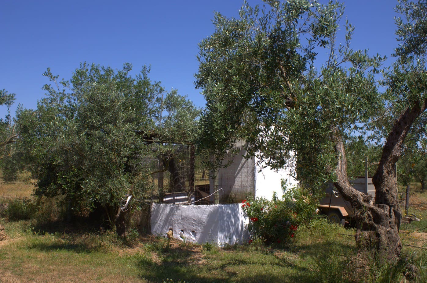 Pensión/Hostal de 4 habitaciones en Almonte en venta con piscina garaje - 398.000 € (Ref: 9829585)