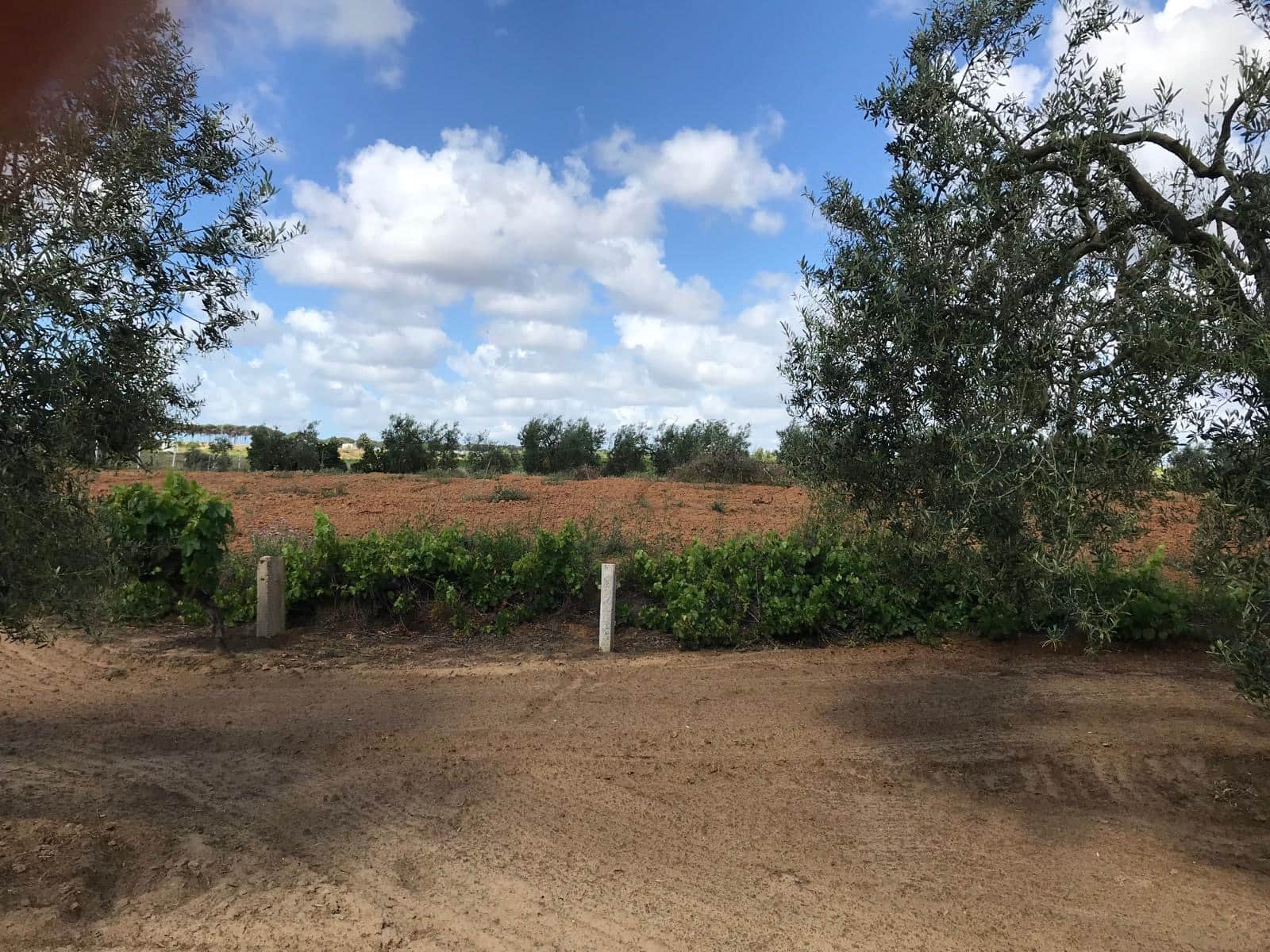 Area Edificabile in vendita in Almonte - 26.000 € (Rif: 9829726)