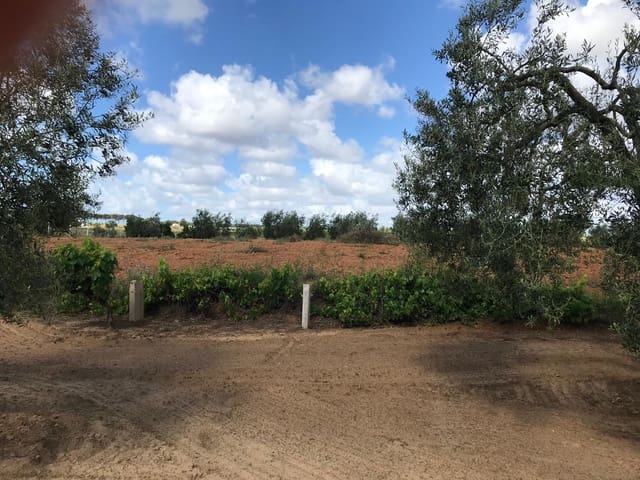 Bouwgrond te koop in Almonte - € 26.000 (Ref: 9829726)