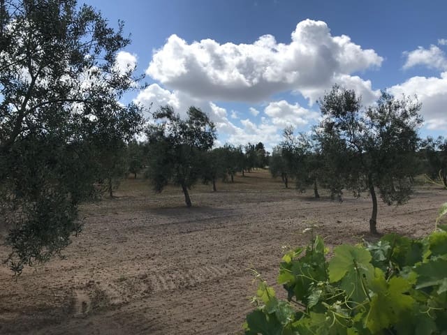 Bouwgrond te koop in Almonte - € 26.000 (Ref: 9829726)