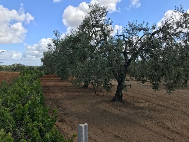 Bouwgrond te koop in Almonte - € 26.000 (Ref: 9829726)