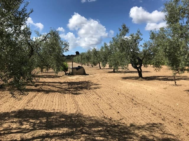 Bouwgrond te koop in Almonte - € 26.000 (Ref: 9829726)