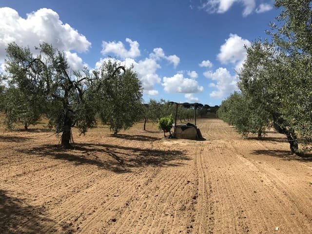 Bouwgrond te koop in Almonte - € 26.000 (Ref: 9829726)