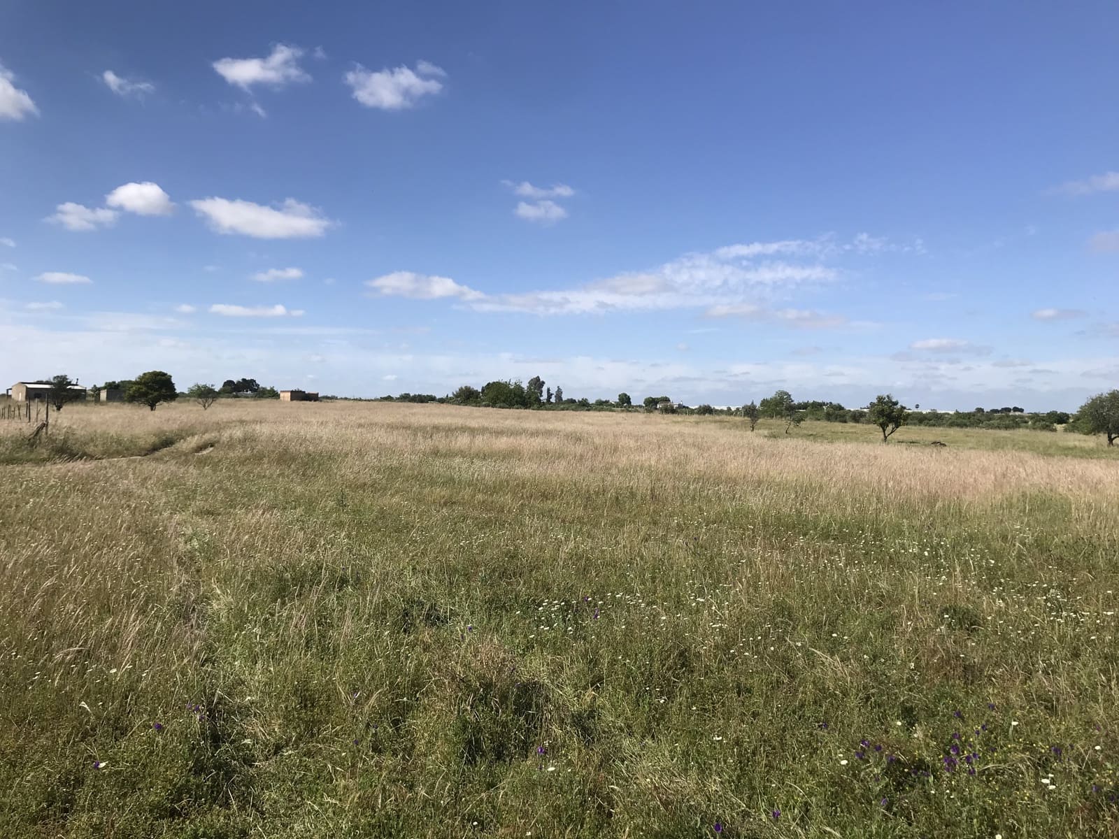 Terreno Non Edificato in vendita in Almonte - 16.500 € (Rif: 9832085)