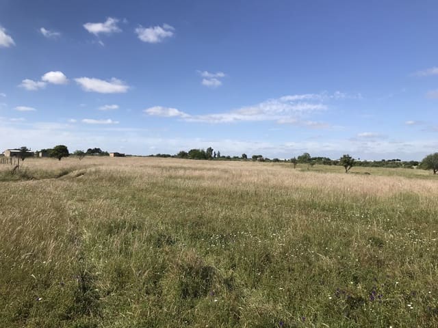 Terreno Non Edificato in vendita in Almonte - 16.500 € (Rif: 9832085)