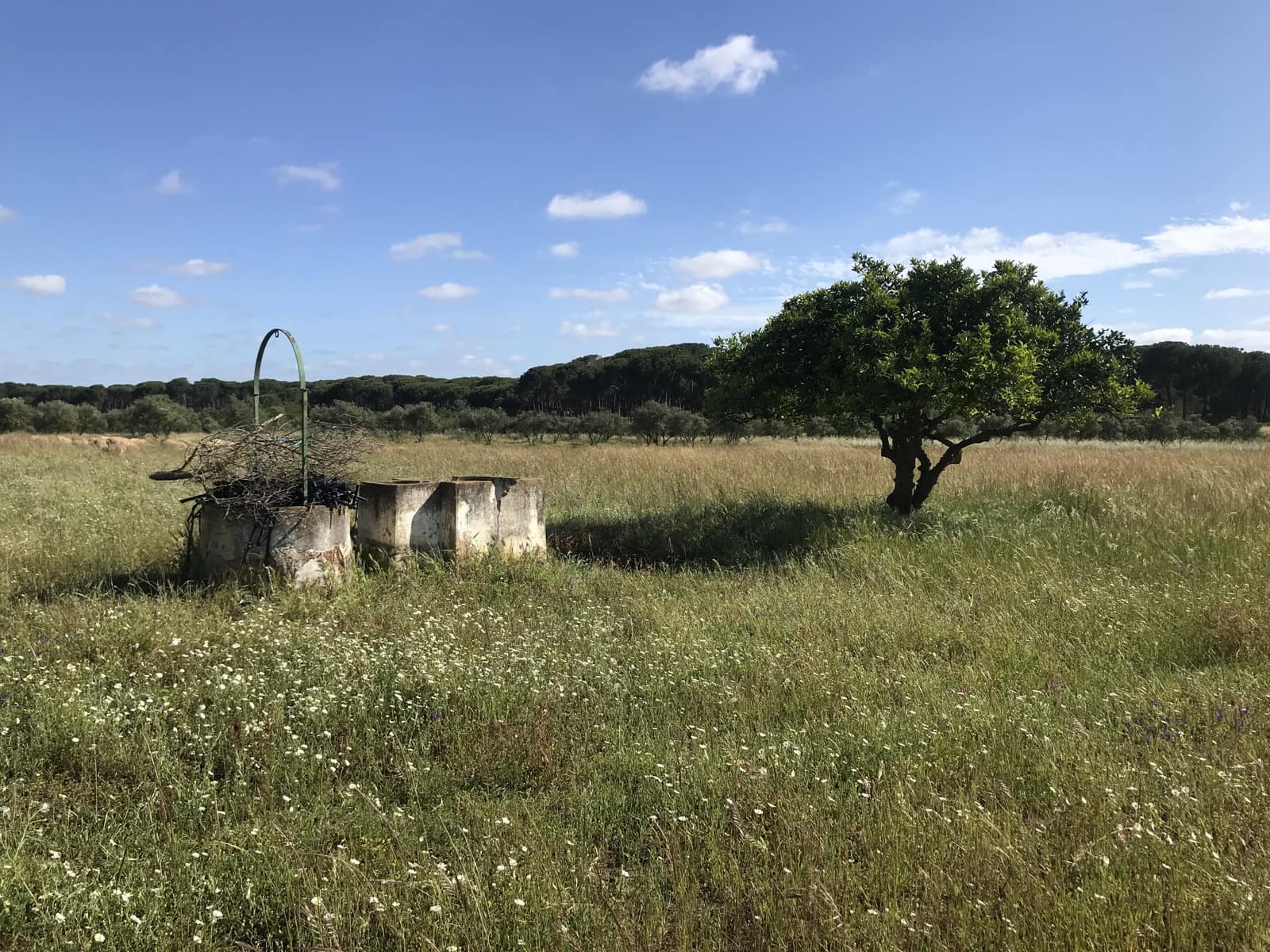 Terreno Non Edificato in vendita in Almonte - 16.500 € (Rif: 9832085)