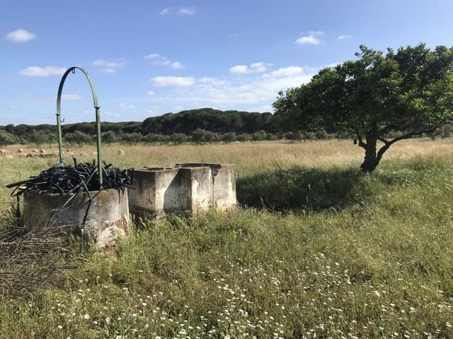 Terreno Non Edificato in vendita in Almonte - 16.500 € (Rif: 9832085)