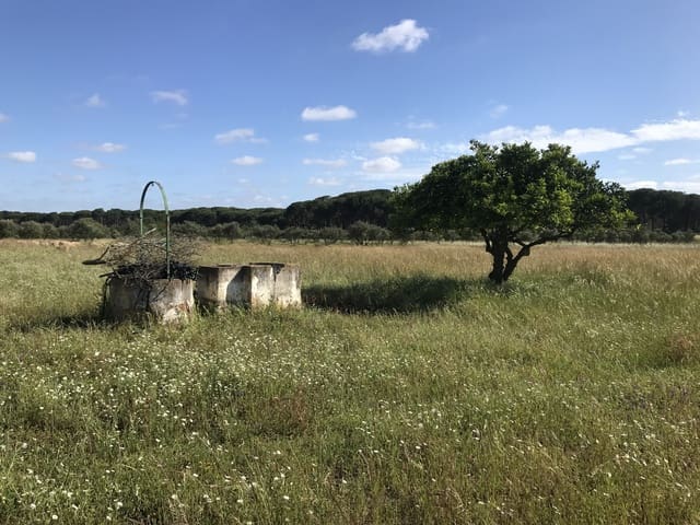 Terreno Non Edificato in vendita in Almonte - 16.500 € (Rif: 9832085)