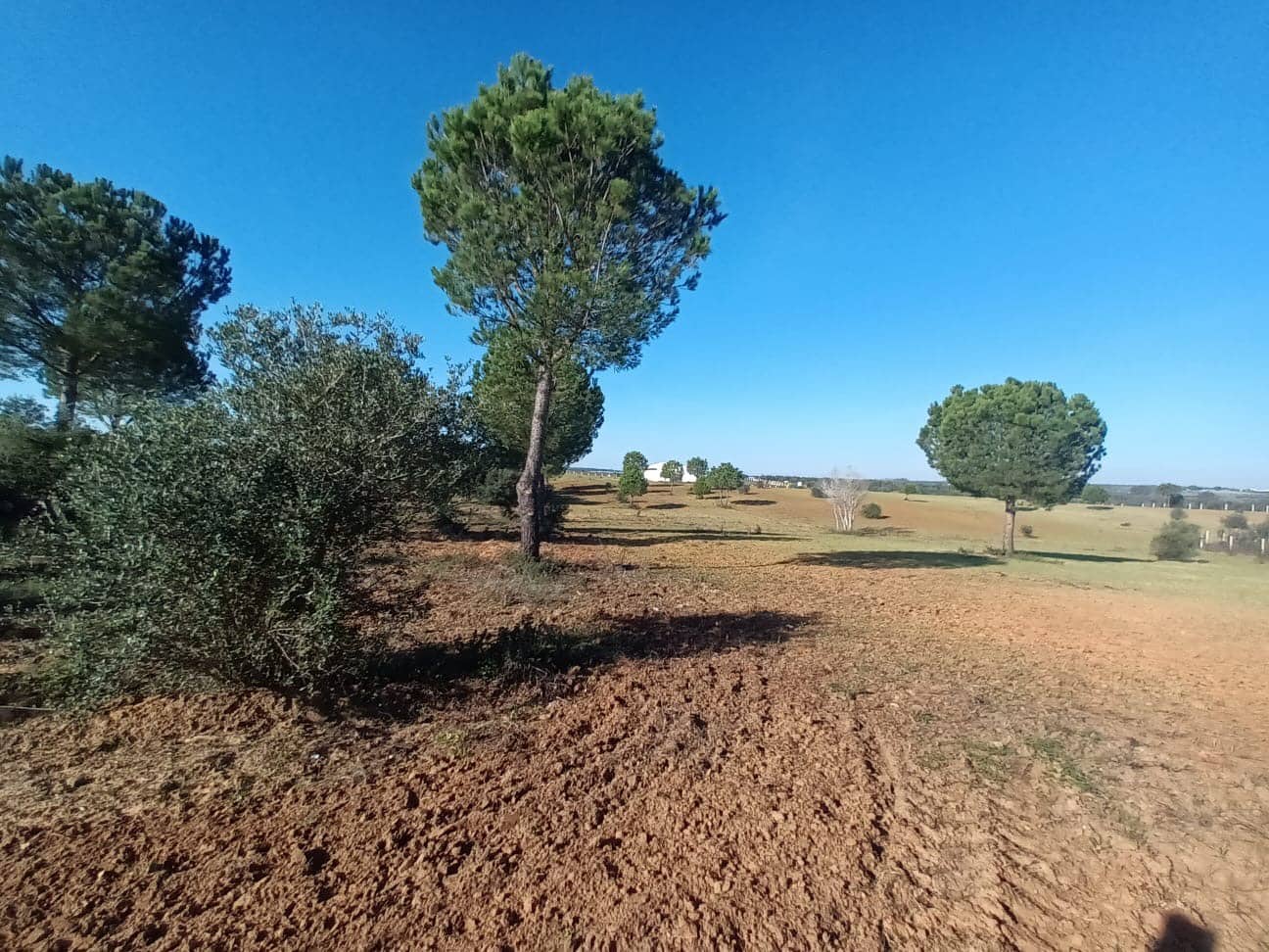 Bouwgrond te koop in Almonte - € 298.000 (Ref: 9832218)