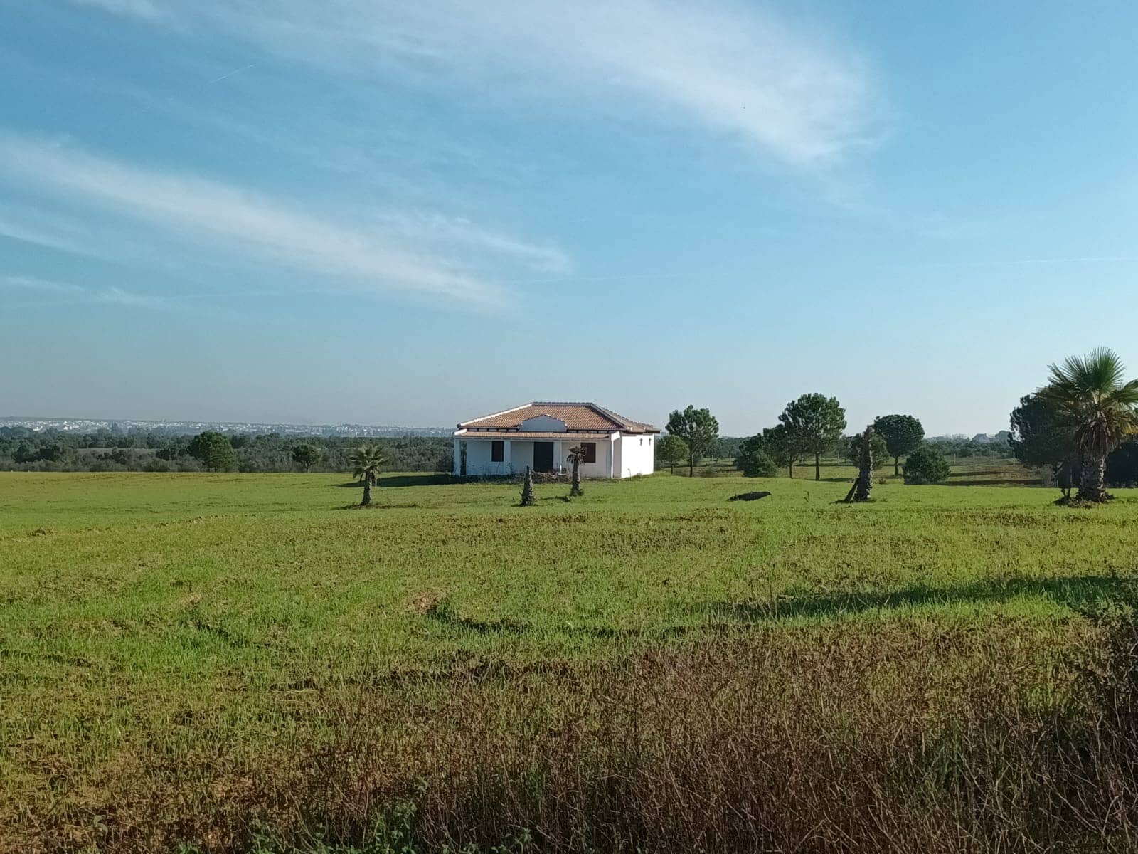 Bouwgrond te koop in Almonte - € 298.000 (Ref: 9832218)