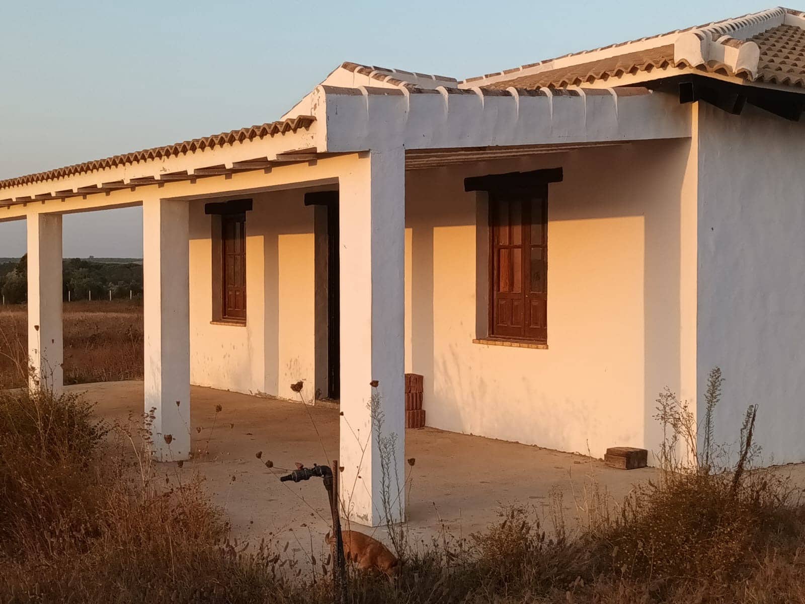 Bouwgrond te koop in Almonte - € 298.000 (Ref: 9832218)