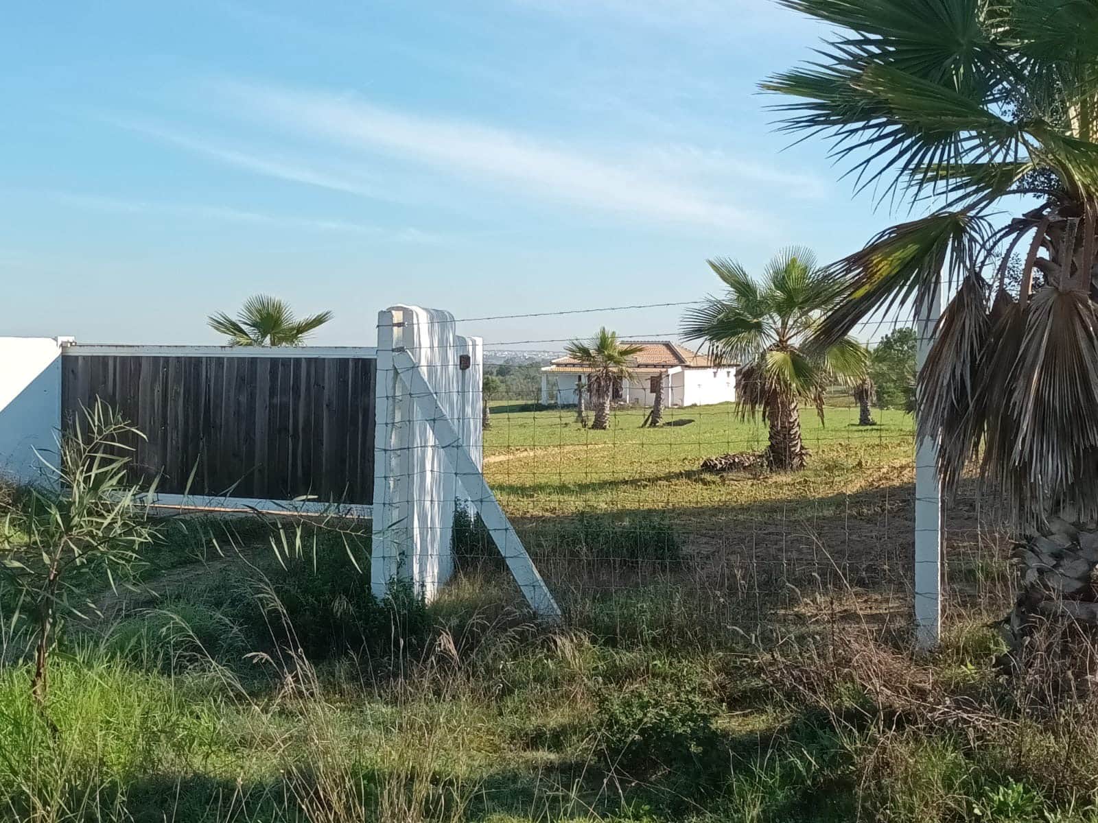Bouwgrond te koop in Almonte - € 298.000 (Ref: 9832218)
