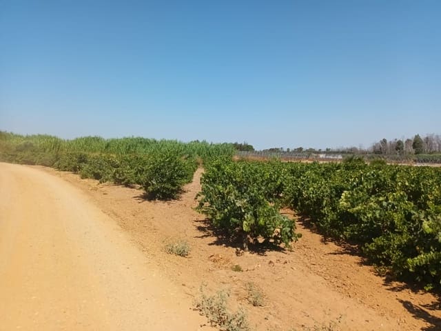 Ubebygd land til salgs i Bollullos Par del Condado - € 22 000 (Ref: 9839779)