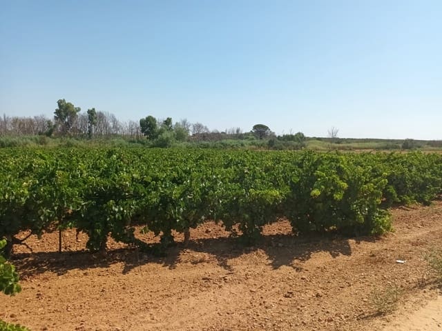 Ubebygd land til salgs i Bollullos Par del Condado - € 22 000 (Ref: 9839779)