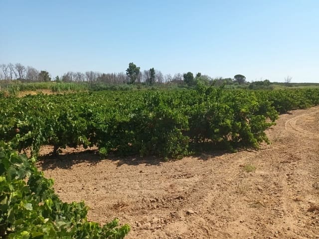 Ubebygd land til salgs i Bollullos Par del Condado - € 22 000 (Ref: 9839779)