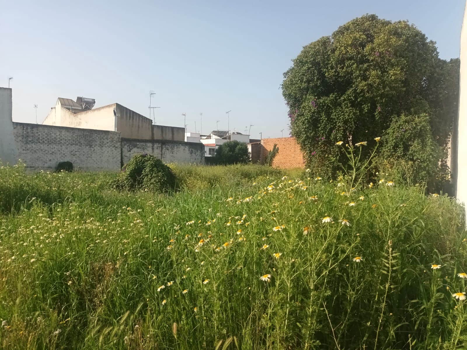 Ruïne te koop in Almonte - € 2.000.000 (Ref: 9840677)