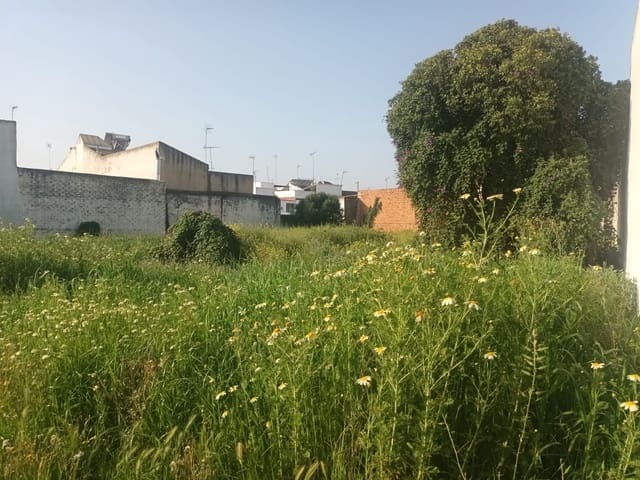 Ruïne te koop in Almonte - € 2.000.000 (Ref: 9840677)