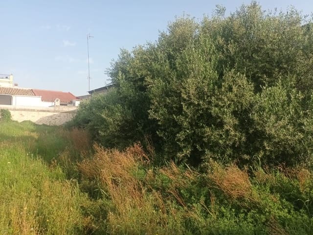 Ruïne te koop in Almonte - € 2.000.000 (Ref: 9840677)