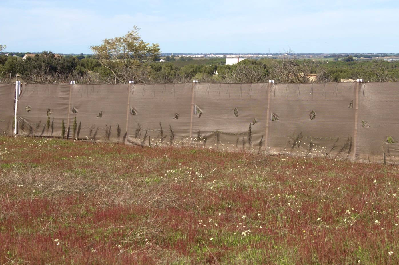Building Plot for sale in Almonte - € 52,000 (Ref: 9840678)