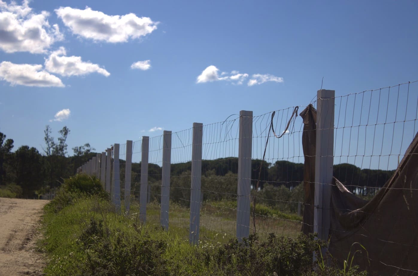 Building Plot for sale in Almonte - € 52,000 (Ref: 9840678)