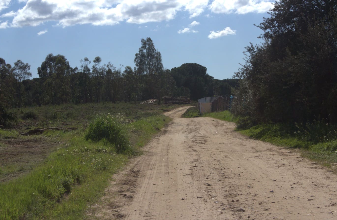 Building Plot for sale in Almonte - € 52,000 (Ref: 9840678)