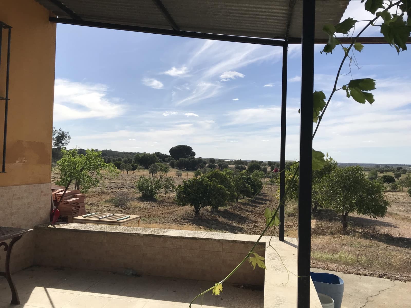 1 bedroom Finca/Country House for sale in Almonte - € 180,000 (Ref: 9848898)