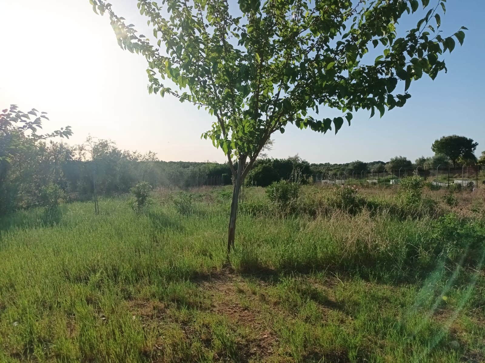 2 bedroom Finca/Country House for sale in Almonte with garage - € 105,000 (Ref: 9850026)