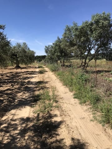 Grond te koop in Almonte - € 72.000 (Ref: 9850029)