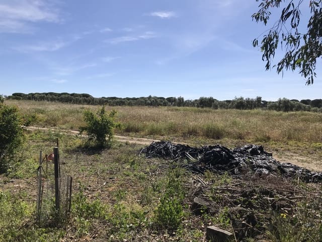Grond te koop in Almonte - € 72.000 (Ref: 9850029)
